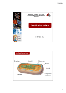 Microsoft PowerPoint - Gen\351tica bacteriana 2016 BAC