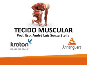 tecido muscular - Comunidades.net