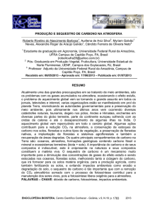 produção e sequestro de carbono na atmosfera