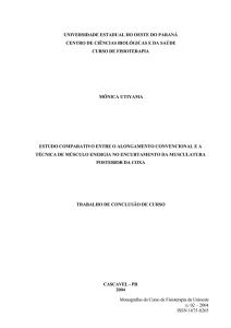 0 Monografias do Curso de Fisioterapia da Unioeste n. 02 – 2004