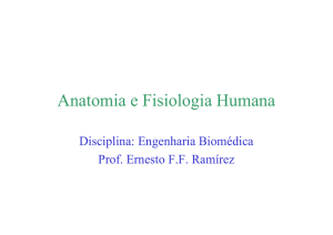 Anatomia e Fisiologia Humana