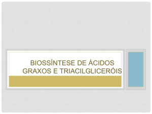 Metabolismo de ácidos graxos e triacilgliceróis