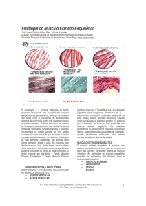 Fisiologia do Musculo Estriado Esquelético