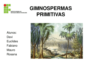 gimnospermas primitivas - Fernando Santiago dos Santos