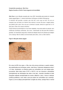 Conjuntivite causada por Zika Vírus?