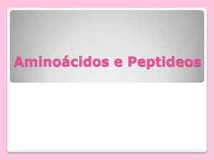 Aminoácidos e Peptideos