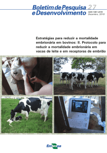 Estratégias para reduzir a mortalidade embrionária em bovinos: II