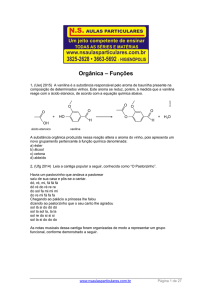 Orgânica – Funções - NS Aulas Particulares