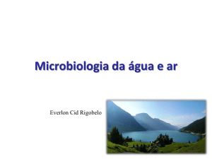 Microbiologia Aquática e do Ar
