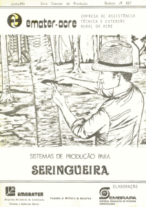 seringueira