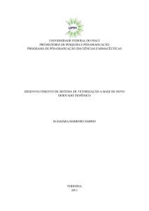 2ª Dissertação de Mestrado - Universidade Federal do Piauí