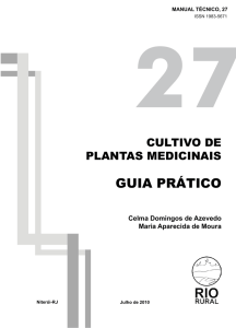 Cultivo de plantas medicinais: guia prático - Pesagro-Rio