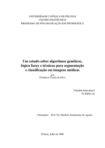 Um estudo sobre algoritmos genéticos, lógica fuzzy e técnicas para