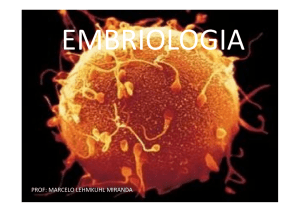 Embriologia Completo