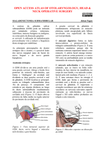 capítulo exérese da glandula - Vula