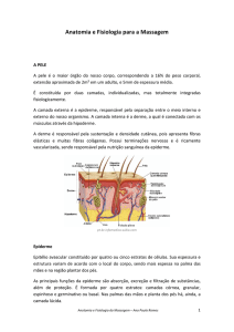 Anatomia(e(Fisiologia(para(a(Massagem(