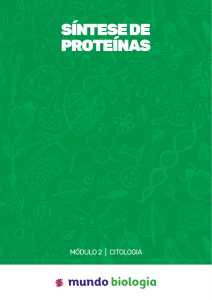 Síntese de Proteínas