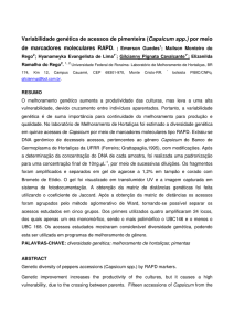 Variabilidade genética de acessos de pimenteira (Capsicum spp