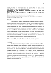 Comparação de protocolos de extração de DNA nas bactérias E