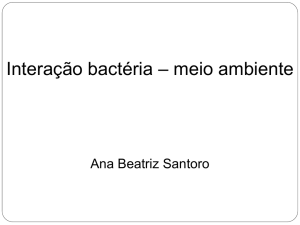 Interação bactéria – meio ambiente