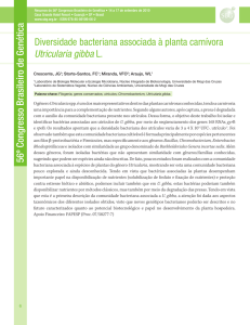 Diversidade bacteriana associada à planta carnívora Utricularia