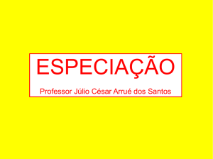 Professor Júlio César Arrué dos Santos