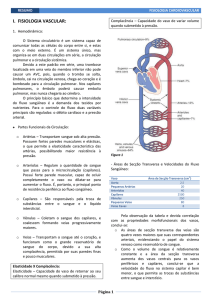 fisiologia cardiovascular