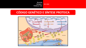 C4 | H13 Código genético e síntese de