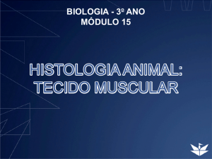 histologia animal: tecido muscular