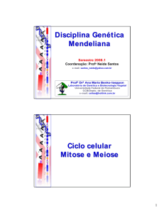 Disciplina Genética Mendeliana Ciclo celular Mitose e Meiose