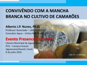 Mancha Branca - Convivência - Prof. Alberto Nunes