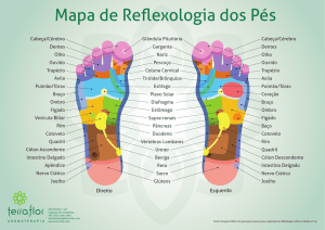 Mapa de Reflexologia dos Pés