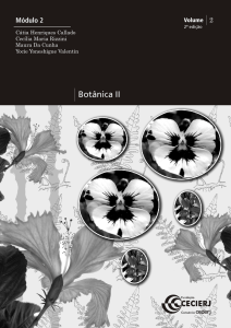 Botânica II - Teca CECIERJ