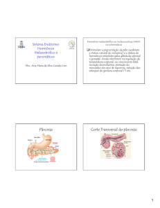 Pâncreas Corte Transversal do pâncreas