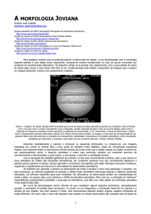 PDF 1.8Mb - Associação Portuguesa de Astrónomos Amadores