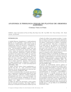 anatomia e fisiologia foliar de plantas de ormosia arborea