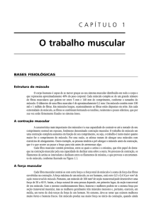 O trabalho muscular