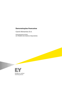 Demonstrações financeiras Camil Alimentos S.A.