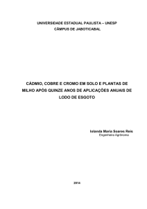 CÁDMIO, COBRE E CROMO EM SOLO E PLANTAS DE MILHO