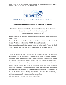 Características epidemiológicas da Leucemia Viral Felina