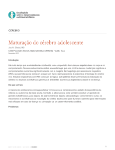 Matura&ccedil;&atilde;o do c&eacute;rebro adolescente