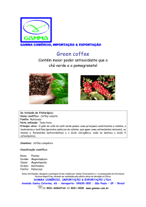Café Verde - Lara Garcia