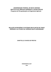 Relação nitrogênio e potássio em plantas de trigo irrigado