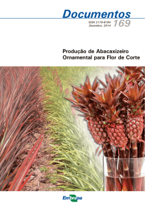 Produção de Abacaxizeiro Ornamental para Flor de Corte (PDF