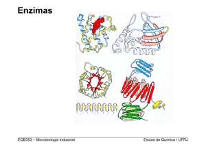 Enzimas - Escola de Química / UFRJ