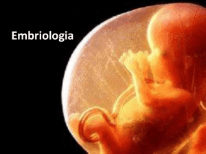 Embriologia - cursinho ativo da unesp