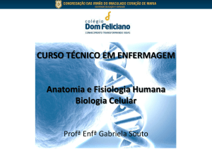 Cromossomos - Colégio Dom Feliciano