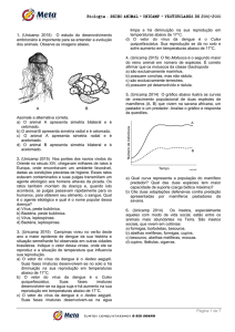 Reino Animal – UNICAMP