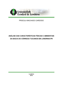 priscila machado cardoso análise das características físicas e