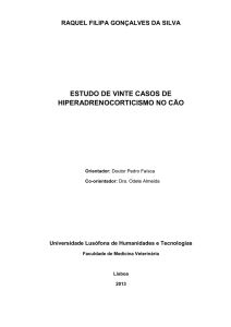 Versão final_Estudo de vinte casos de